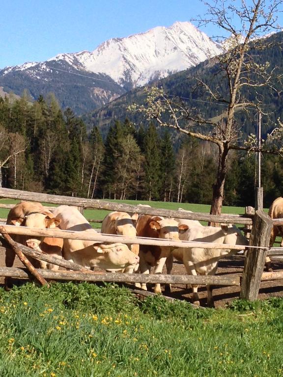 Farm stay Biobauernhof Kleinummerstall Mittersill