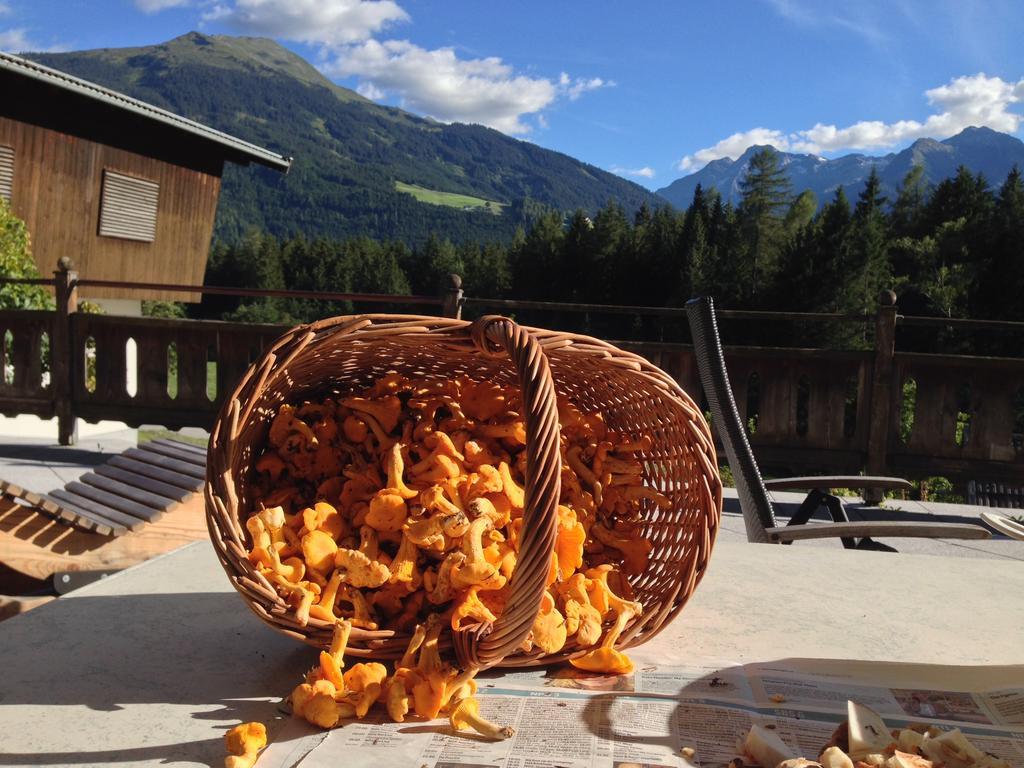 Farm stay Biobauernhof Kleinummerstall Mittersill